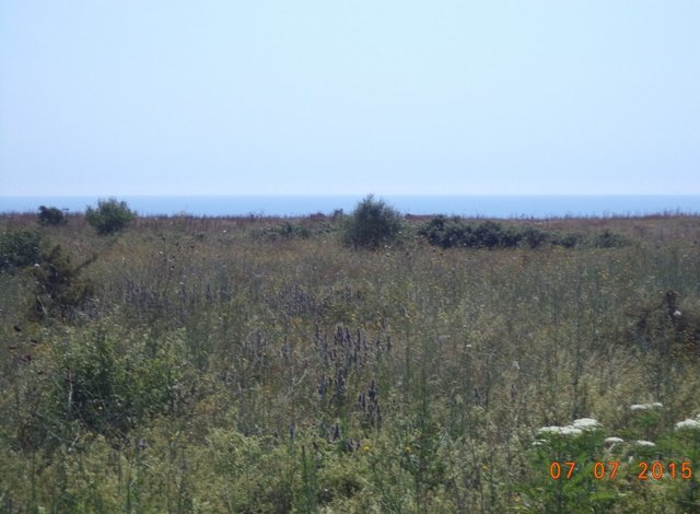 Поземлен имот в Камен бряг