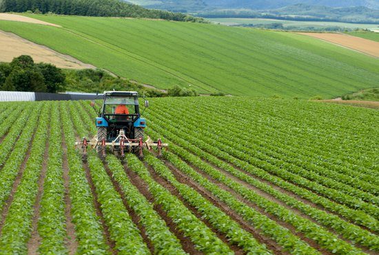 Bulgarian development bank with a new product to support private farmers