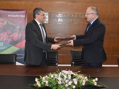 The BDB to collaborate with the National Research and Certification Institute to support Bulgarian rose processors