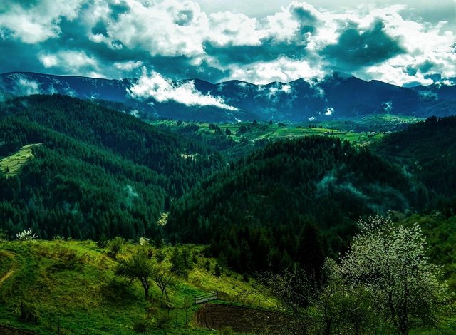 BDB supports opening of unique museum in Rhodope Mountains