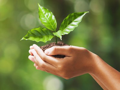 Конкурсът на ББР  и Стопанския факултет в СУ „Нужни ли са ни зелени финанси“ обяви победителите