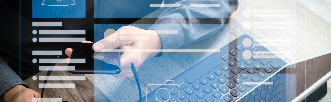 API portal for developers in a test environment