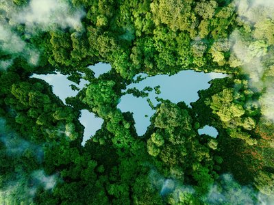 гора, растителност