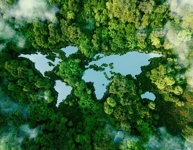 гора, растителност