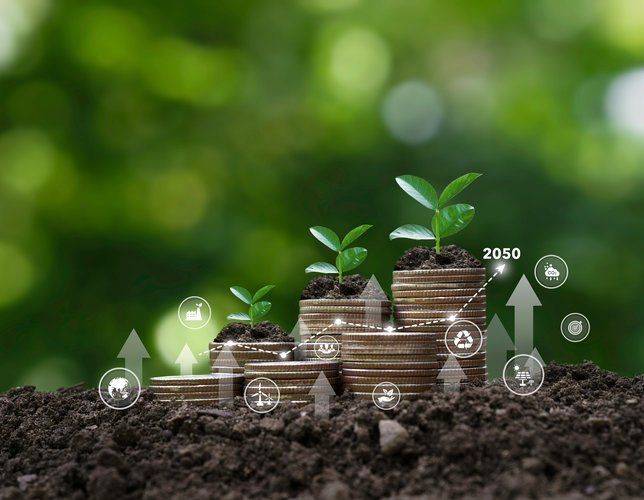 Coins on the ground with icon and graph of Growth